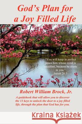 God's Plan for a Joy Filled Life Robert William Broc 9781419652936 Booksurge Publishing