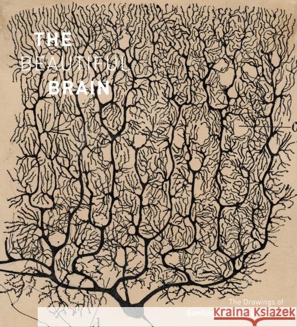 The Beautiful Brain: The Drawings of Santiago Ramon y Cajal Alfonso Araque 9781419722271 Abrams