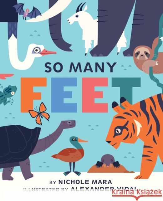 So Many Feet Nichole Mara 9781419723186 Abrams