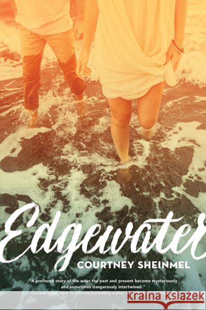 Edgewater Courtney Sheinmel 9781419723476 Amulet Books