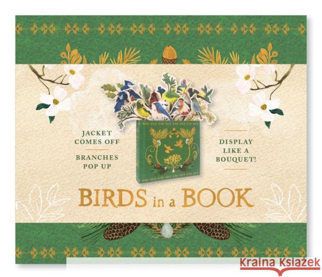Birds in a Book (A Bouquet in a Book): Jacket Comes Off. Branches Pop Up. Display Like a Bouquet!  9781419733932 Abrams