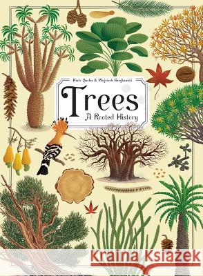 Trees: A Rooted History Piotr Socha Wojciech Grajkowski 9781419737237 Abrams Books for Young Readers