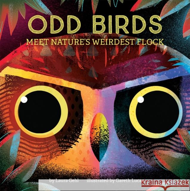 Odd Birds: Meet Nature's Weirdest Flock Laura Gehl Gareth Lucas 9781419742231 Abrams Appleseed