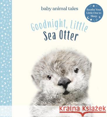 Goodnight, Little Sea Otter Amanda Wood Vikki Chu Bec Winnel 9781419760211 Magic Cat