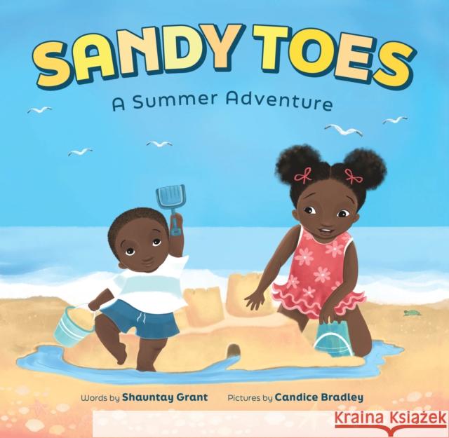Sandy Toes: A Summer Adventure (A Let's Play Outside! Book) Shauntay Grant 9781419763076