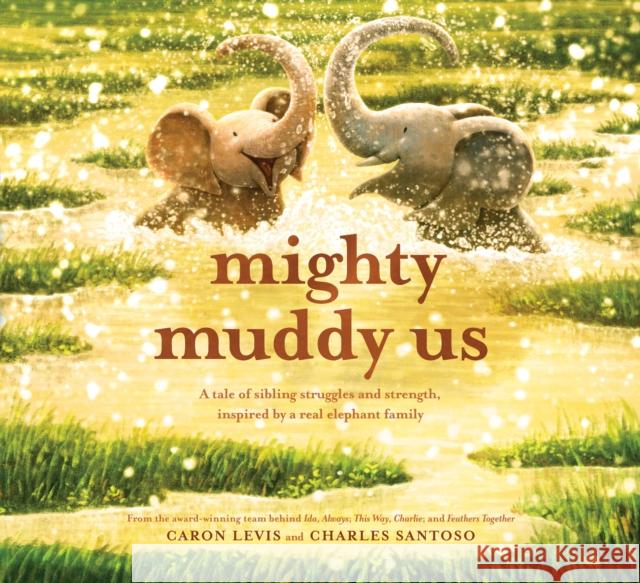 Mighty Muddy Us Caron Levis Charles Santoso 9781419763731 Abrams Books for Young Readers