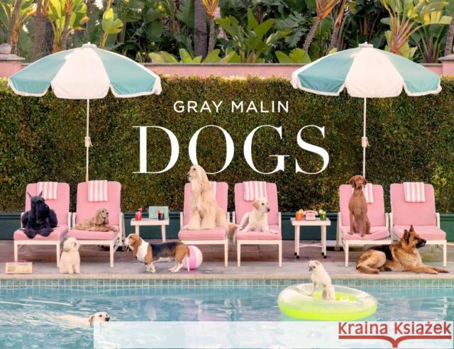 Gray Malin: Dogs: Photographs Gray Malin 9781419769238 Abrams