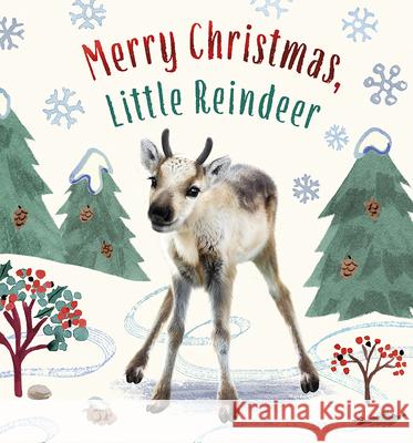 Merry Christmas, Little Reindeer Amanda Wood Bec Winnel Vikki Chu 9781419769498 Magic Cat