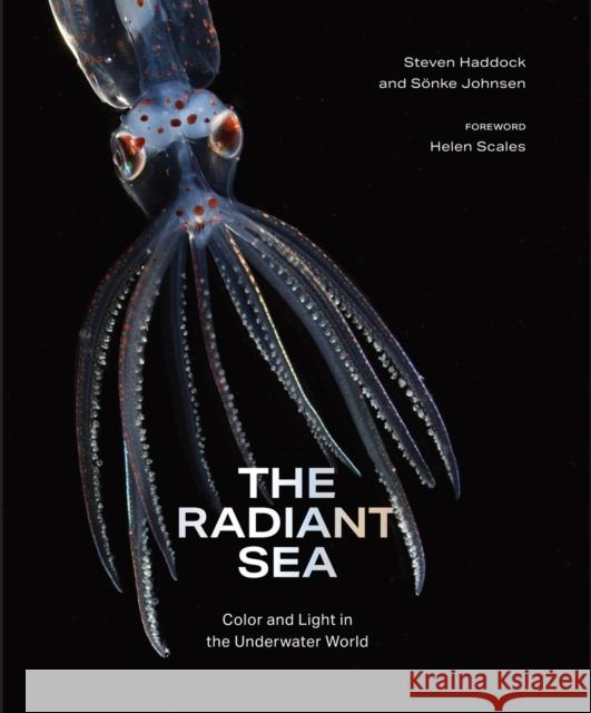 The Radiant Sea: Color and Light In the Underwater World Sonke Johnsen 9781419772375 Abrams Books