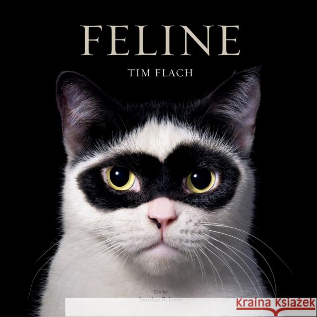 Feline: Photographs Tim Flach 9781419773648 Abrams Books