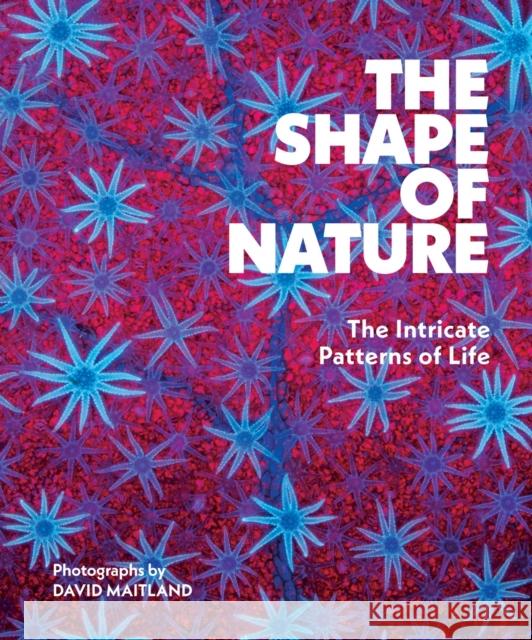 The Shape of Nature: The Intricate Patterns of Life David Maitland 9781419779794 Abrams Books