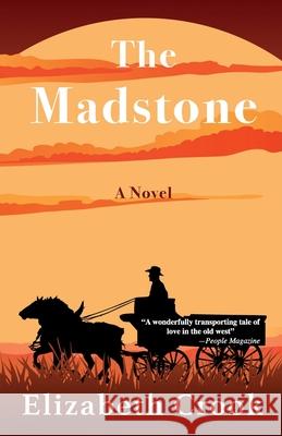 The Madstone Elizabeth Crook 9781420516982