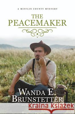 The Peacemaker Wanda E. Brunstetter 9781420522020 Thorndike Press Large Print