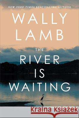 The River Is Waiting Wally Lamb 9781420522761