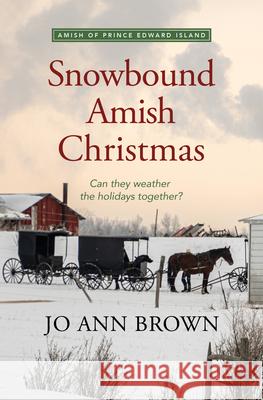 Snowbound Amish Christmas Jo Ann Brown 9781420525335 Thorndike Press Large Print