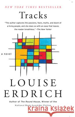 Tracks Louise Erdrich 9781420525380 Thorndike Press Large Print