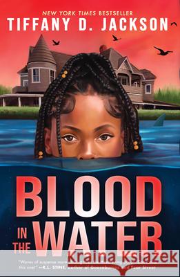 Blood in the Water Tiffany D. Jackson 9781420526875 Youth Large Print