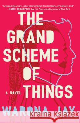 The Grand Scheme of Things Warona Jay 9781420527483 Thorndike Press Large Print
