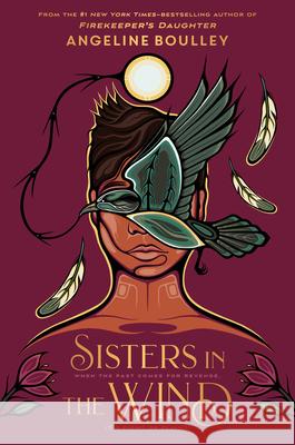 Sisters in the Wind Angeline Boulley 9781420529593 Youth Large Print