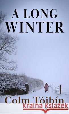 A Long Winter Colm T?ib?n 9781420535617
