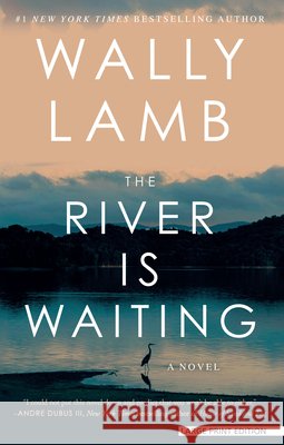 The River Is Waiting Wally Lamb 9781420535648
