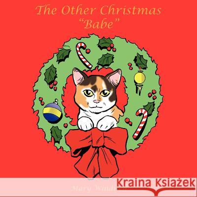 The Other Christmas Babe Windisch, Mary 9781420860580 Authorhouse