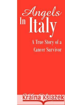 Angels In Italy S. D. Hayes 9781420888737 Authorhouse