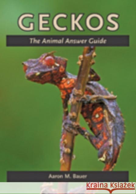 Geckos: The Animal Answer Guide Bauer, Aaron M. 9781421408521