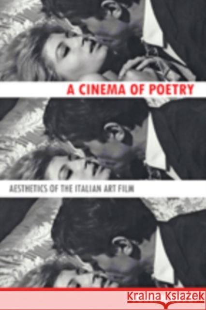 A Cinema of Poetry: Aesthetics of the Italian Art Film Luzzi, Joseph 9781421411668 Johns Hopkins University Press