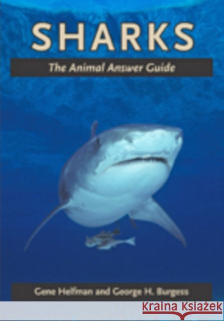 Sharks: The Animal Answer Guide Helfman, Gene 9781421413099 Johns Hopkins University Press