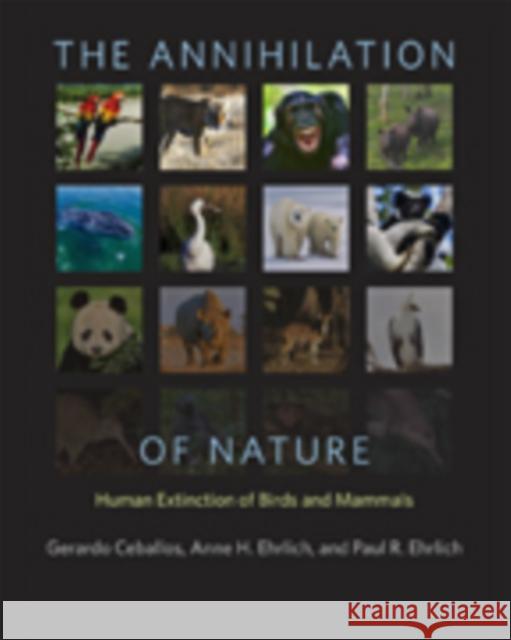 The Annihilation of Nature: Human Extinction of Birds and Mammals Ceballos, Gerardo; Ehrlich, Anne H.; Ehrlich, Paul R. 9781421417189 John Wiley & Sons