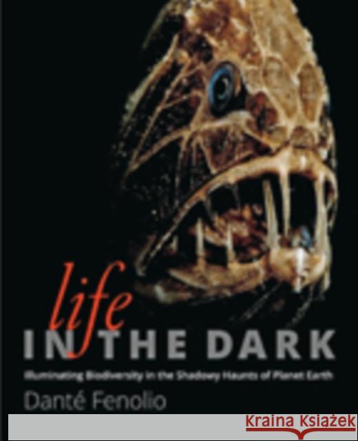 Life in the Dark: Illuminating Biodiversity in the Shadowy Haunts of Planet Earth Fenolio, Danté 9781421418636 John Wiley & Sons