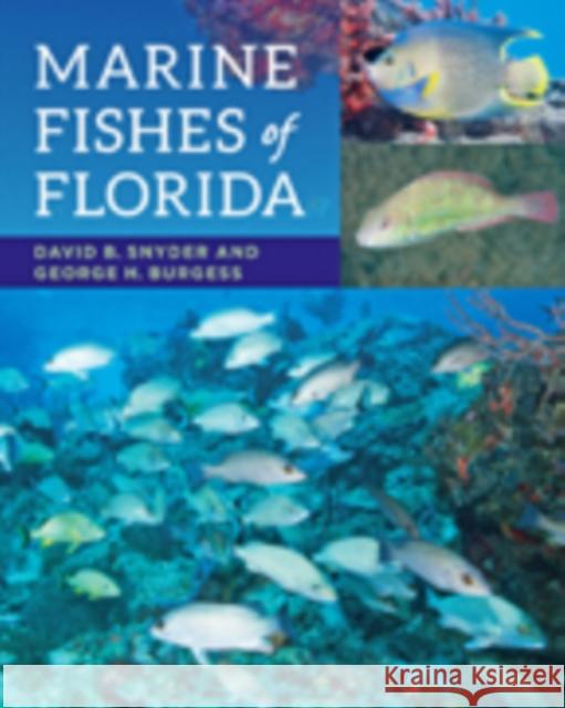 Marine Fishes of Florida Snyder, David B.; Burgess, George H. 9781421418728 John Wiley & Sons