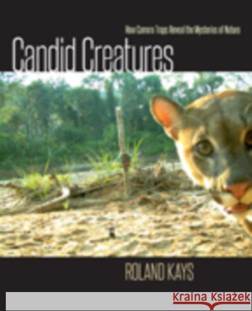 Candid Creatures: How Camera Traps Reveal the Mysteries of Nature Kays, Roland 9781421418889