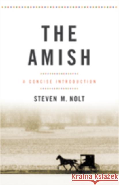 The Amish: A Concise Introduction Nolt, Steven M. 9781421419565 John Wiley & Sons