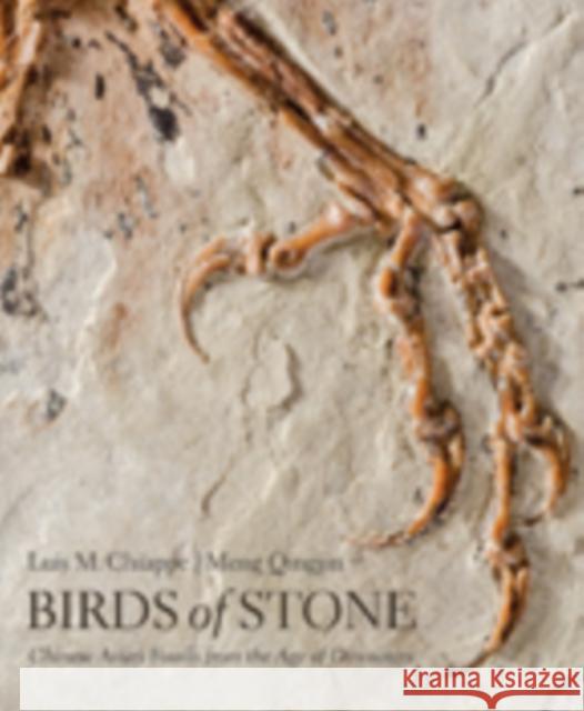 Birds of Stone: Chinese Avian Fossils from the Age of Dinosaurs Chiappe, Luis M.; Qingjin, Meng 9781421420240 John Wiley & Sons