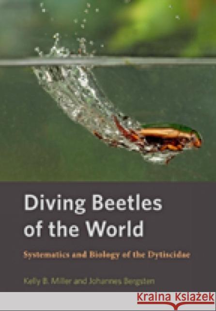 Diving Beetles of the World: Systematics and Biology of the Dytiscidae Kelly B. Miller Johannes Bergsten 9781421420547 Johns Hopkins University Press
