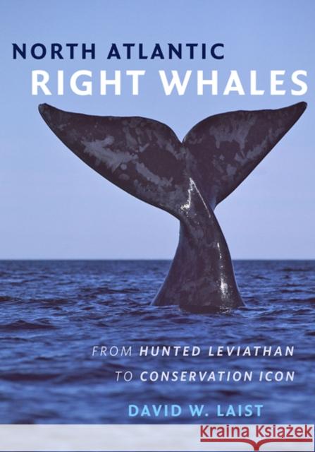 North Atlantic Right Whales: From Hunted Leviathan to Conservation Icon Laist, David W. 9781421420981 John Wiley & Sons