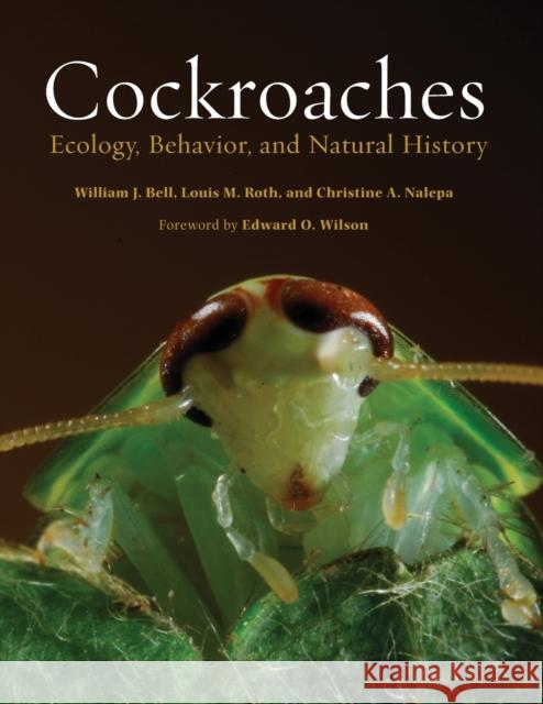 Cockroaches: Ecology, Behavior, and Natural History William J. Bell Louis M. Roth Christine A. Nalepa 9781421421148 Johns Hopkins University Press