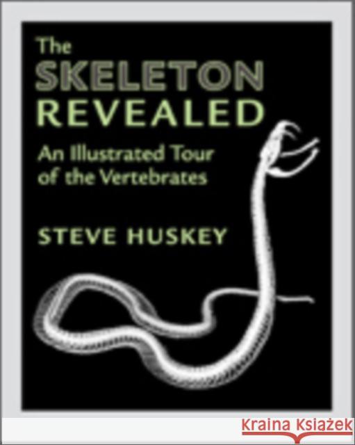 The Skeleton Revealed: An Illustrated Tour of the Vertebrates Huskey, Steve 9781421421483