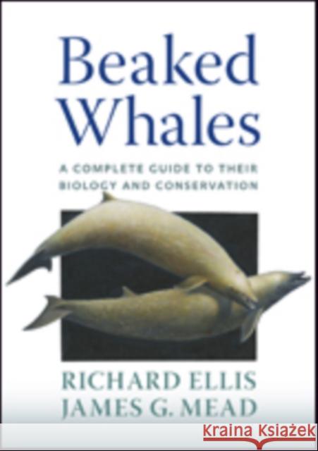 Beaked Whales: A Complete Guide to Their Biology and Conservation Ellis, Richard; Mead, James G. 9781421421827