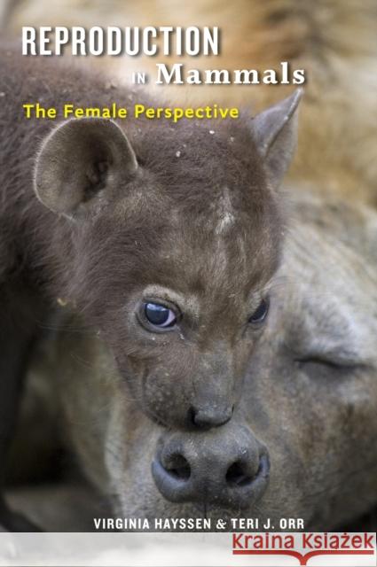 Reproduction in Mammals: The Female Perspective Hayssen, Virginia; Orr, Teri 9781421423159 John Wiley & Sons