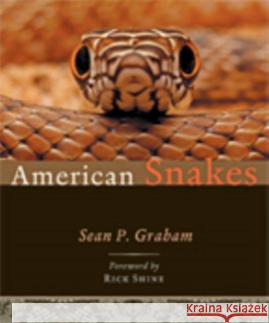American Snakes Sean P. Graham 9781421423593 Johns Hopkins University Press