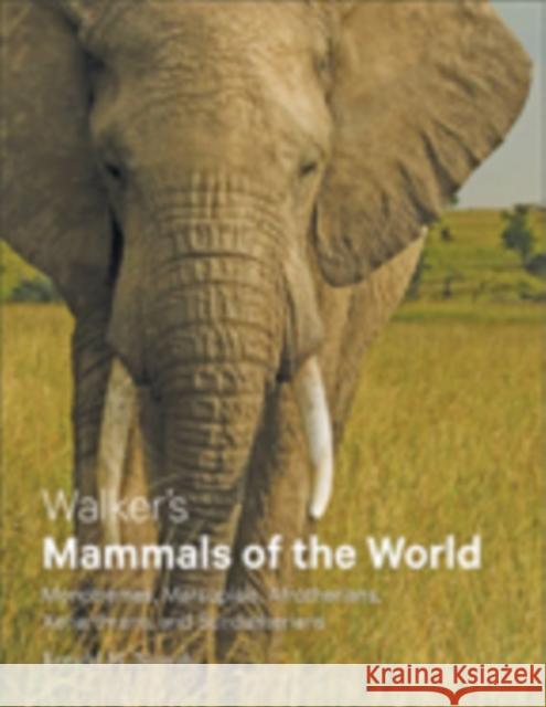 Walker's Mammals of the World: Monotremes, Marsupials, Afrotherians, Xenarthrans, and Sundatherians Nowak, Ronald M. 9781421424675 Johns Hopkins University Press