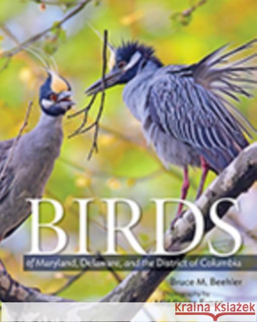 Birds of Maryland, Delaware, and the District of Columbia Bruce Beehler Middleton Evans 9781421427331