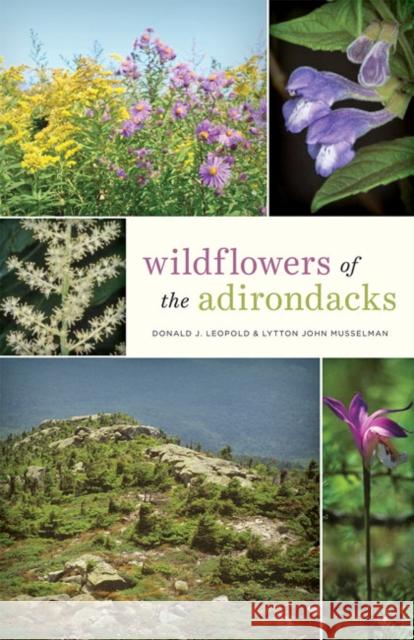 Wildflowers of the Adirondacks Donald J. Leopold Lytton John Musselman 9781421431109 Johns Hopkins University Press