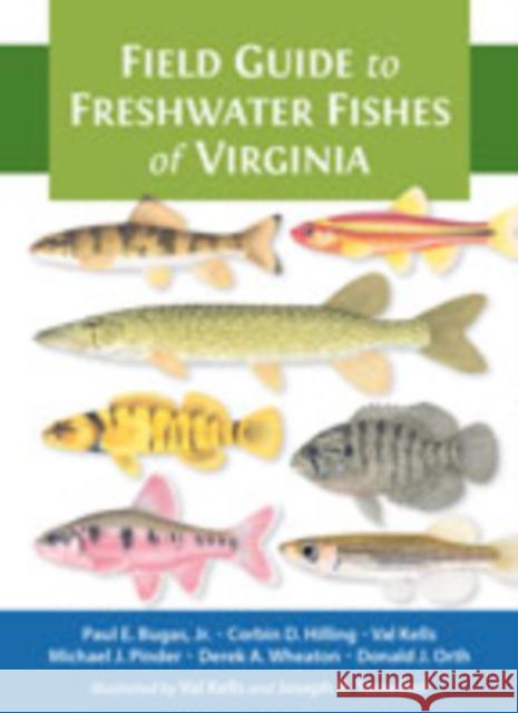 Field Guide to Freshwater Fishes of Virginia Donald J. Orth Joseph R. Tomelleri 9781421433059