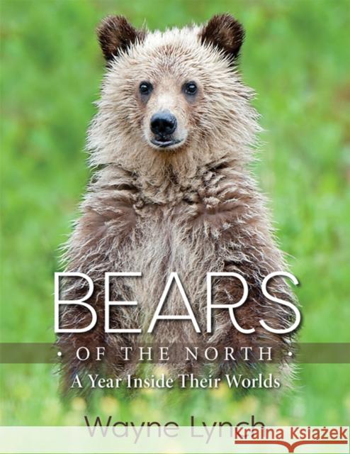Bears of the North: A Year Inside Their Worlds Wayne Lynch 9781421439419
