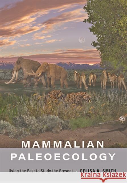 Mammalian Paleoecology: Using the Past to Study the Present Felisa A. Smith 9781421441405 Johns Hopkins University Press