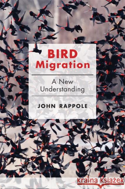 Bird Migration: A New Understanding John H. Rappole 9781421442389 Johns Hopkins University Press